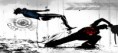 /album/imagens/capoeira-wallpaper-40146-jpg/