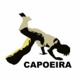 /album/imagens/capoeira-stencil-jpg/